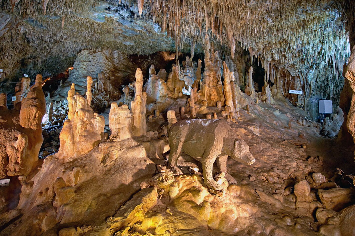 petralona cave greece